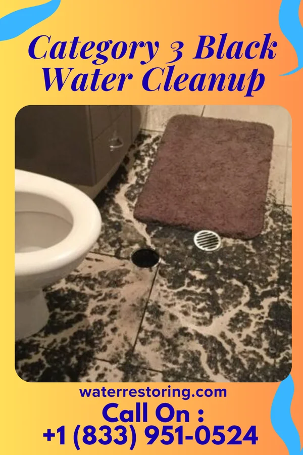 Category 3 Black Water Cleanup in Aneta, ND