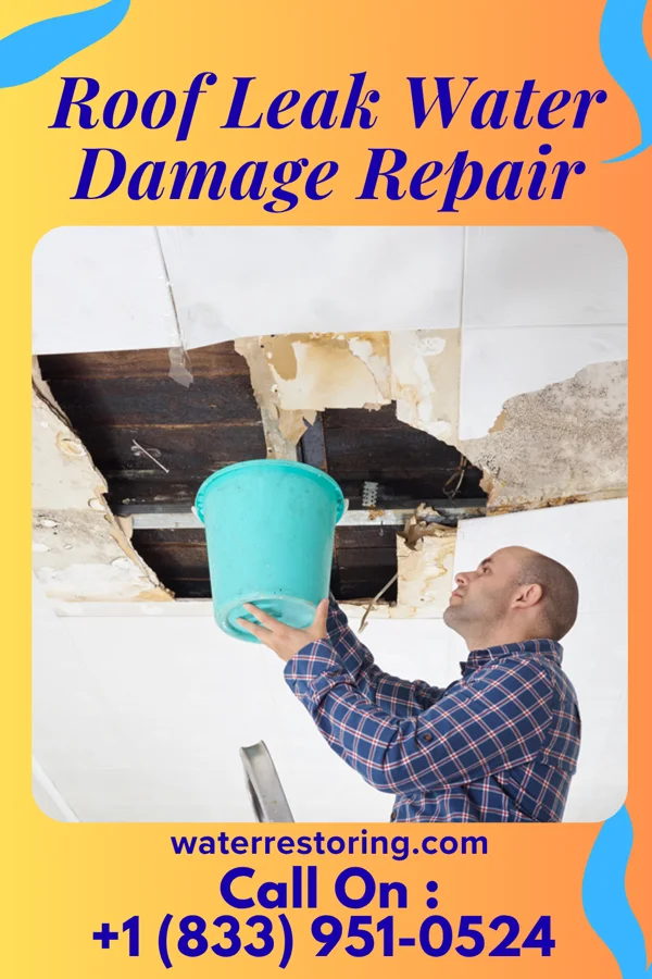 Roof Leak Water Damage Repair in Aneta, ND